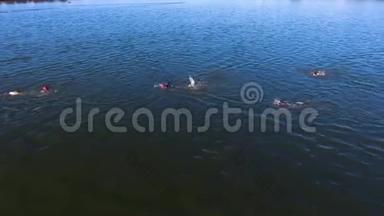 铁人三项赛群的空中比赛在河边的游泳舞台上进行